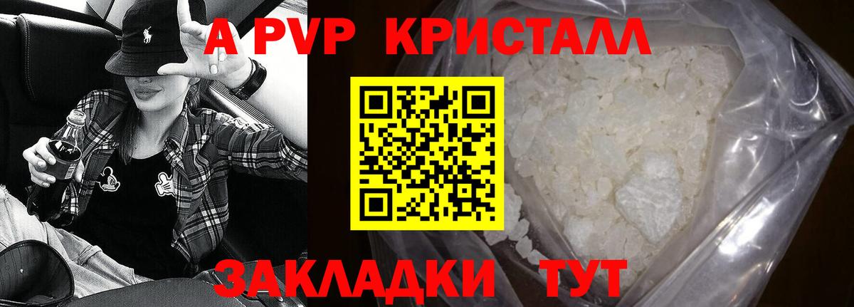 APVP СК Ейск