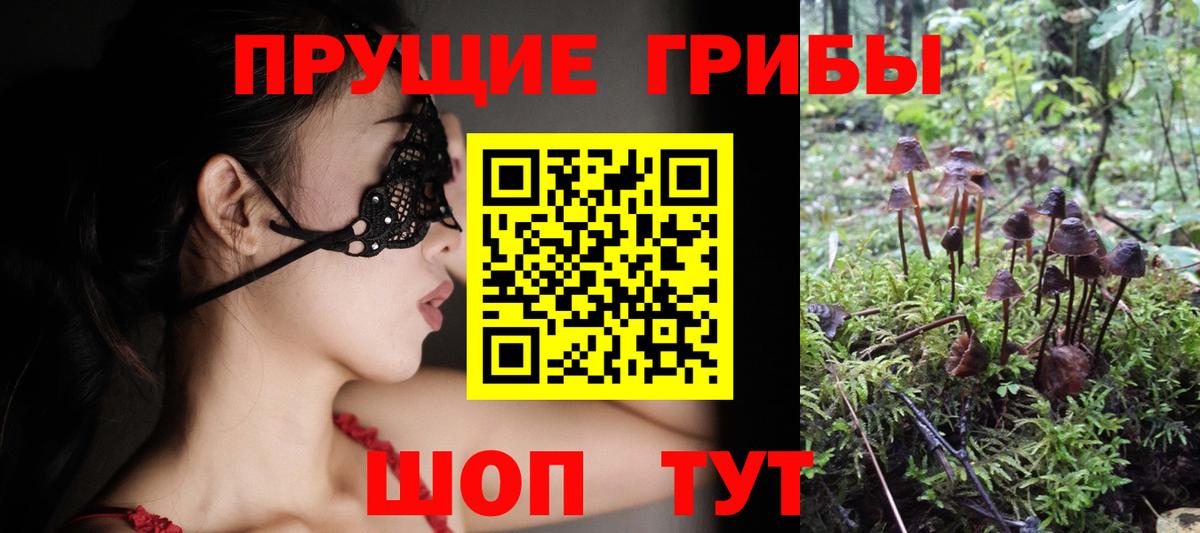 Галлюциногенные грибы MAGIC MUSHROOMS  Вход с VPN  Ейск  наркошоп  Галлюциногенные грибы Psilocybine cubensis 